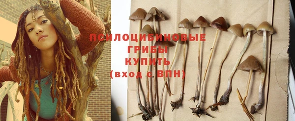 ПСИЛОЦИБИНОВЫЕ ГРИБЫ Алексеевка