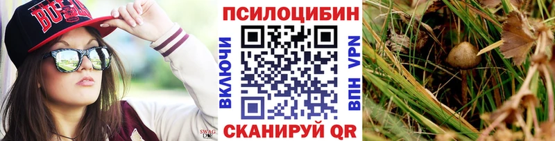 blacksprut сайт  Осташков  Галлюциногенные грибы ЛСД 