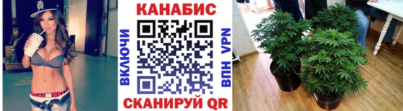 Бошки марихуана индика  Осташков 